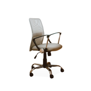working chair with armrest