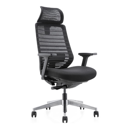 Ergonomic Chair Roxas